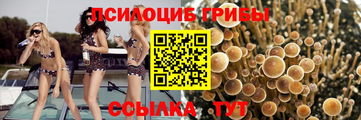 Новый Уренгой  Псилоцибиновые грибы Psilocybe  Вход с VPN  Галлюциногенные грибы GOLDEN TEACHER 